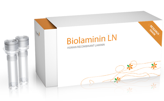 Biolaminin 121 LN